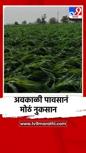 अवकाळी पावसानं पिकांचं मोठं नुकसान, एरंडोल तालुक्यातील शेतकर्‍यांना मोठा फटका.