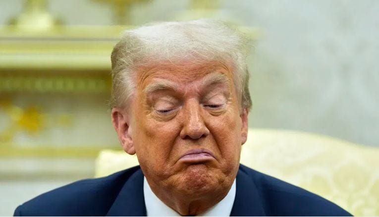 दरम्यान, आता डोनाल्ड ट्रम्प यांनी कॅनडाला चांगलेच धमकावले आहे. त्यांनी कॅनडावर थेट 100 टक्के टॅरिफ लावण्याचा थेट इशाराच देऊन टाकला आहे. ट्रम्प यांच्या या इशाऱ्यानंतर आता कॅनडा हा देश चांगलाच हादरला आहे.