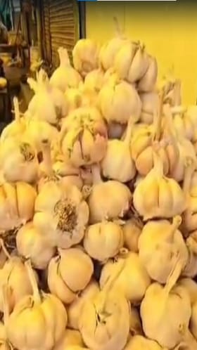 लसणाच्या दरात मोठी वाढ; ग्राहकांना बसतोय फटका.