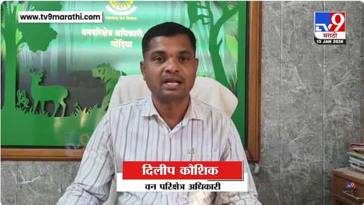 गोंदियात बिबट्याची दहशत की AI मुळे अफवा? गोंदियात बिबट्याची दहशत की AI मुळे अफवा?