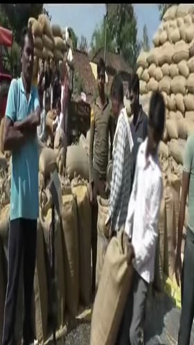 शासकीय धान खरेदी मर्यादेमुळे खरेदी ठप्प... प्रशासनाने तातडीने मर्यादा वाढवून खरेदी सुरू करावी....