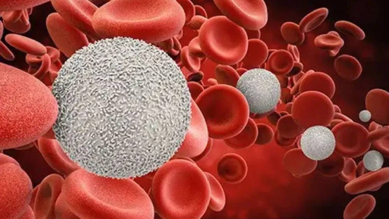  आपल्यापैकी अनेक लोक सोशल मीडियावर काही व्हिडीओ बघून आपल्या आहारात बदल करतात. डॉक्टरांचा कोणताही सल्ला घेऊन हे बदल केली जात नाहीत, तर व्हिडीओ बघून केली जातात. 