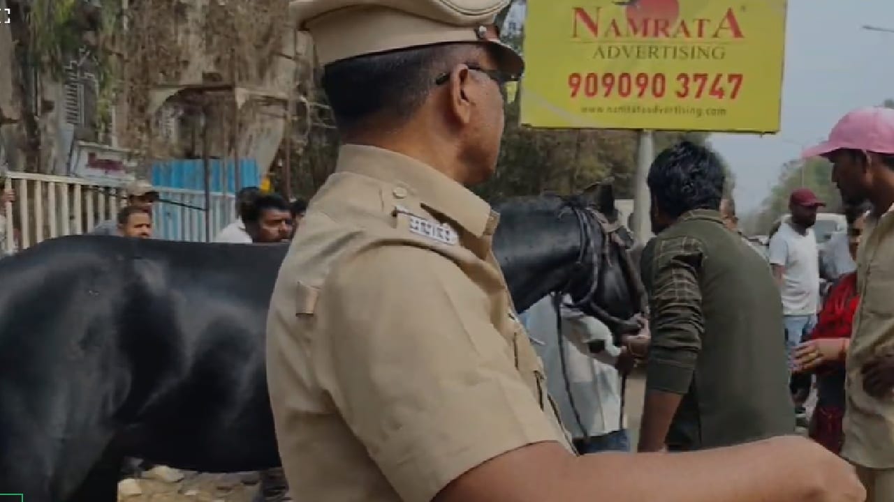 मंगलरूप गोशाळा टीमने संशयितांचा समाचार घेत समज दिली असून त्यांच्यावर कायदेशीर कारवाई करण्यात आली आहे. प्राण्यांवरील छळ दिसल्यास तात्काळ विरोध करण्याचे आवाहन नागरिकांना करण्यात आले आहे.