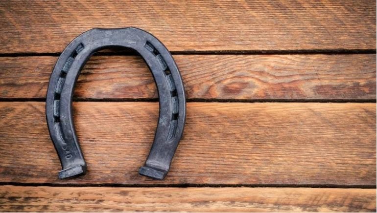 भारतात वास्तूशास्त्राला खूप महत्त्व आहे. वास्तूशास्त्राचे नियम लक्षात घेऊनच अनेकजण आपले घर बांधतात. तसेच घरातील वस्तूदेखील काही लोक वास्तूशास्त्राच्या नियमानुसारच करतात. घर उभारणीसाठी वास्तूशास्त्रात अनेक नियम सांगितलेले आहेत. 