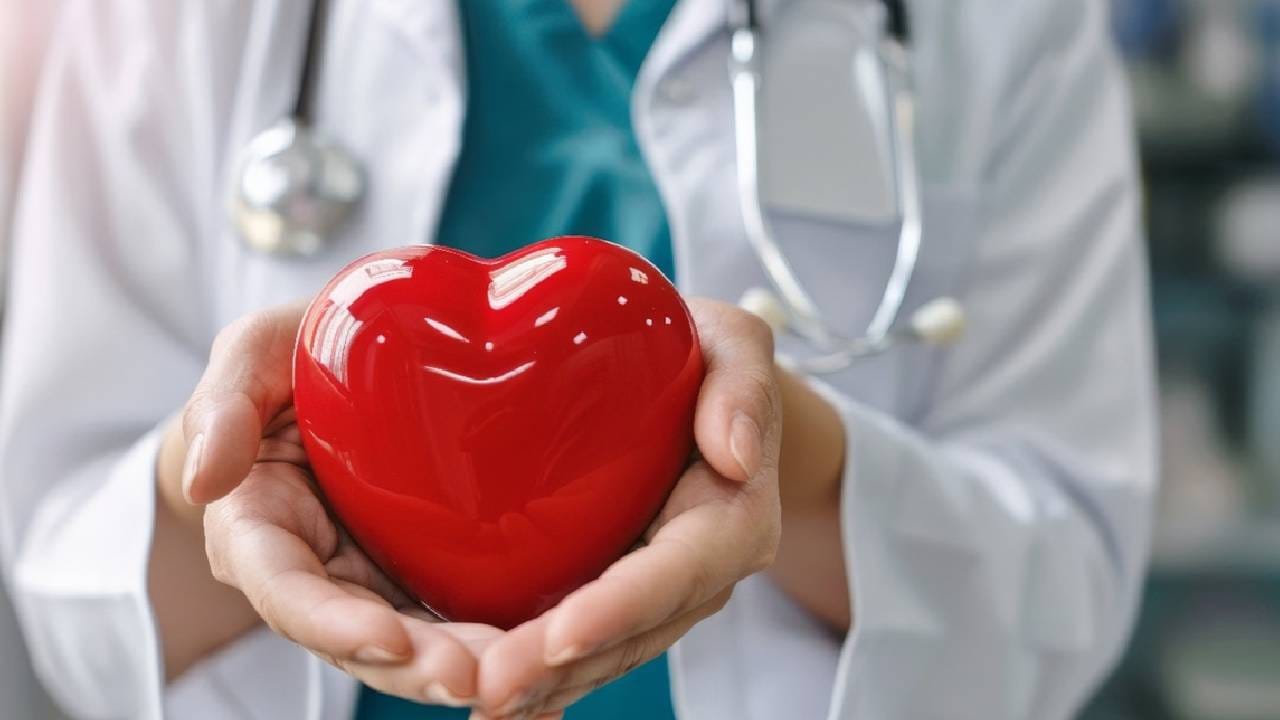  निरोगी राहण्यासाठी सर्वात महत्वाची ठरते ती म्हणजे रोगप्रतिकारक शक्ती. रोगप्रतिकारक शक्ती वाढली तर आरोग्याच्या असंख्य समस्या दूर होण्यास मदत होते. 