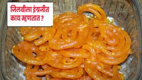 डोकेबाज असाल तर Google न वापरता सांगा.. जिलबीला इंग्रजीत काय म्हणतात ?.