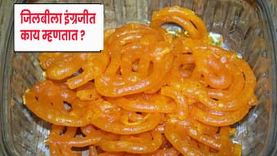 GK : जिलबीला इंग्रजीत काय म्हणतात ? डोकेबाज असाल तर Google न वापरता द्या उत्तर..