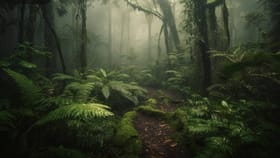 फोडाफोडीच्या राजकारणाला कंटाळला, ठाकरेंचा नगरसेवक चक्क जंगलात लपला.