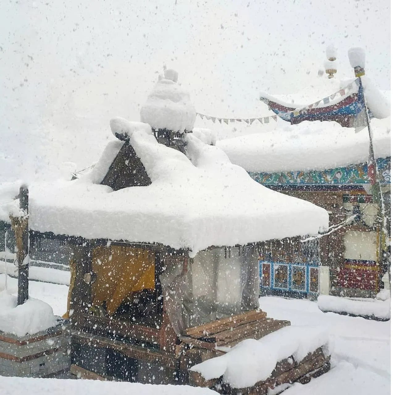 किन्नौर त्याच्या नैसर्गिक सौदर्यासाठी प्रसिद्ध आहे. येथील बर्फाने झाकलेल्या दऱ्या आणि स्वर्गासमान भासतात. सफरचंदाच्या बागा आणि लाकडांची पारंपारिक घरे आणि किन्नर कैलास पर्वतच्या बर्फाळ गिरीशिखरे या जागेला स्वर्ग बनवतात.येथील शांतता आणि ताजी हवा प्रसन्न करते. ट्रीप प्लान करण्याआधी सर्व माहिती घेऊन जावे. ( Credit: incredible_kinnaur/Instagram)