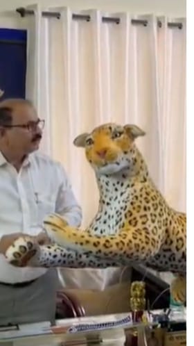 बिबट्याला पकडण्यात अपयश, वनविभागाला भेट दिली बिबट्याची प्रतिकृती.