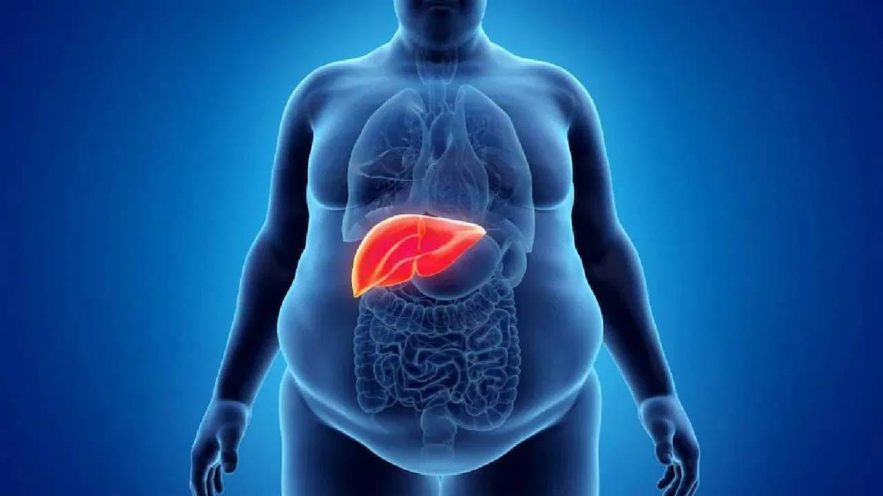 लोकांना अनेकदा असे वाटते की यकृताच्या आजारात काविळीसारखी स्पष्ट लक्षणे दिसतात, पण सत्य हे आहे की सुरुवातीची लक्षणे पोटातच दडलेली असतात.
