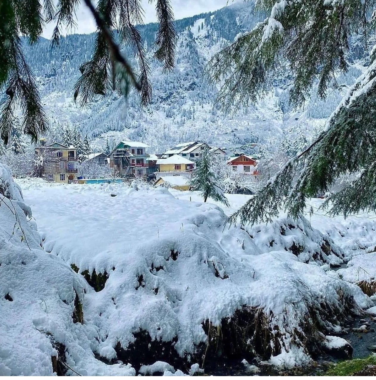 मनालीत देखील पर्यटक बर्फवृष्टीचा आनंद घेत आहेत. सोलंग व्हॅली आणि रोहतांग पास ( उघडल्यानंतर ) येथे बर्फाची पांढरी चादर पसरली आहे. येथे स्कीईंग, स्नो स्कूटर आणि स्नोबोर्डिंग सारख्या एडव्हेंचरची मजा घेता येते. बर्फाने झाकलेले पर्वत आणि वाहणारी ब्यास नदी मनालीला जादुई लुक देत आहे. व्हेवी स्नोफॉल दरम्यान मनालीचे अनेक रस्ते बंद केले जातात. ( Credit: himachal_pictures/Instagram)