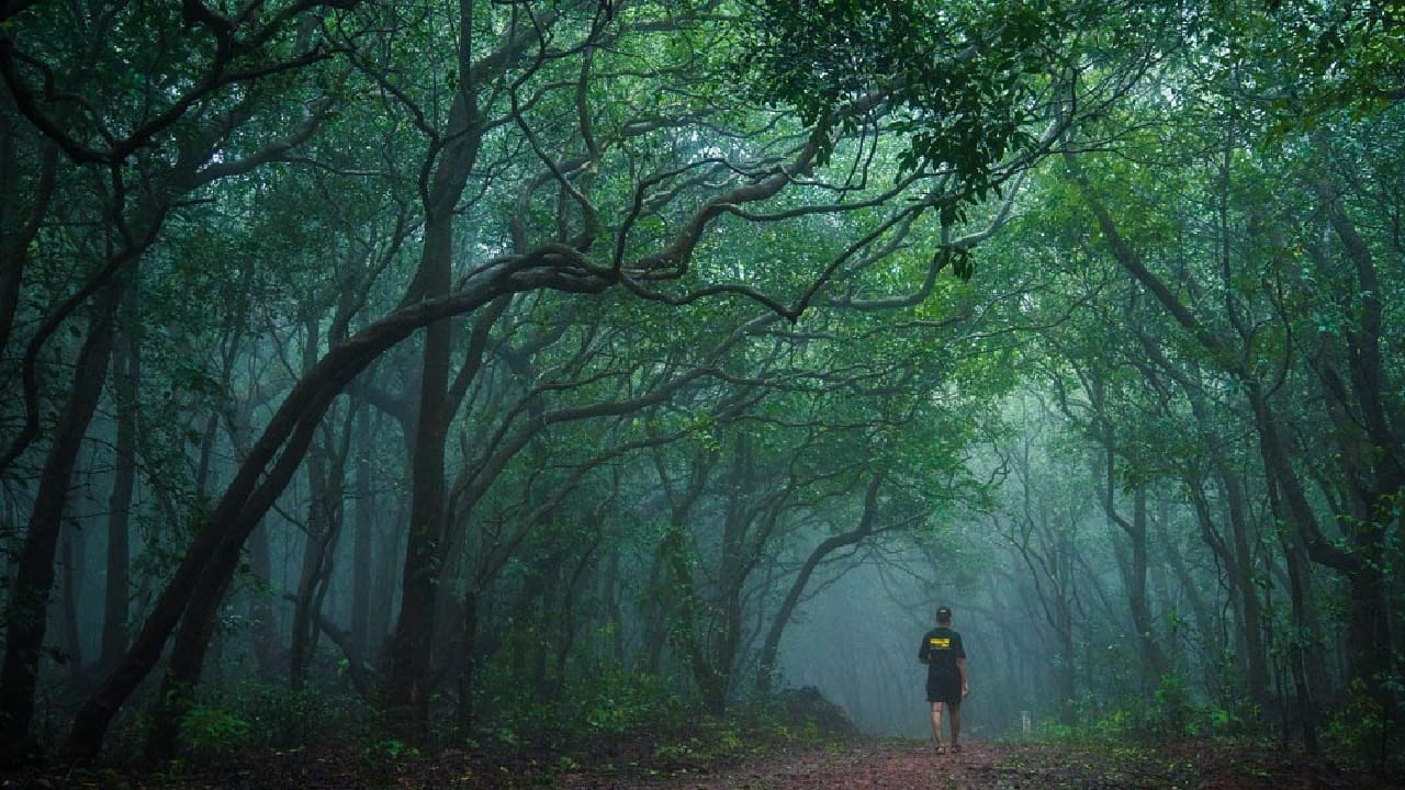 जर तुम्ही देखील आपल्या कुटुंबासोबत सुट्टीसाठी सर्वात स्वस्त आणि मुंबईपासून जवळ असणारे ठिकाण शोधत असाल तर ही बातमी तुमच्यासाठी आहे. 