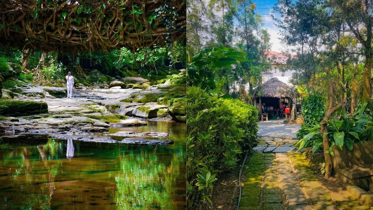 जर तुम्ही निसर्गाच्या सान्निध्यात शांत आणि रोमांचक सुट्टी घालवण्याचा विचार करत असाल तर मेघालयमधील एक अप्रतिम हिल स्टेशन तुमच्यासाठी सर्वोत्तम पर्याय ठरू शकतो. 