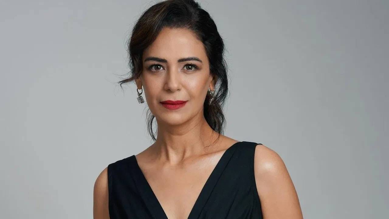 मोनाने वर्ष 2009 मध्ये ब्लॉकबस्टर चित्रपट थ्री इडियट्समधून बॉलिवूडमध्ये डेब्यु केला. तिने करीना कपूरच्या मोठ्या बहिणीचा रोल साकारलेला. त्यानंतर ती ‘जेड प्लस’, ‘मुंज्या’ आणि ‘ऊट पटांग’ सारख्या चित्रपटांमध्ये दिसली. 2022 साली आलेल्या करीना कपूर आणि आमिर खान यांच्या ‘लाल सिंह चड्ढा’मध्ये मोनाने आमिरच्या आईचा रोल साकारलेला. 