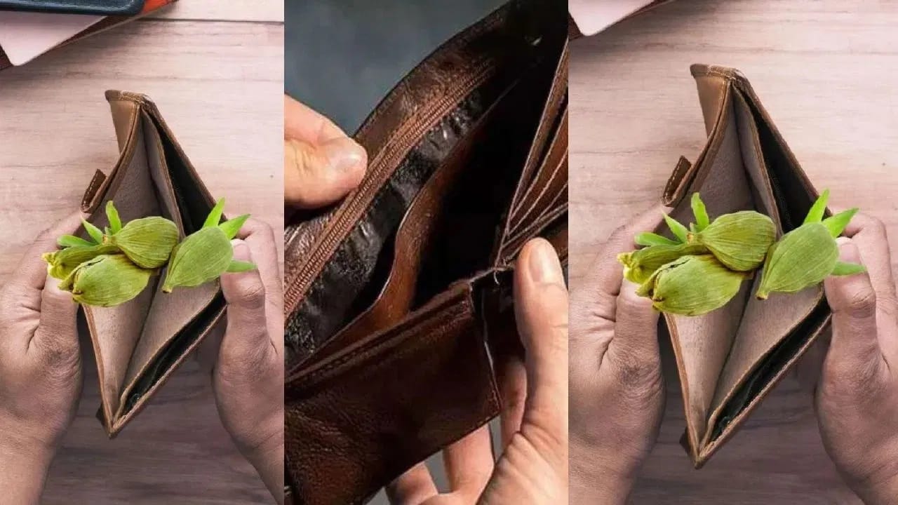 ज्यांच्याकडे बचत नाही त्यांनी नेहमी त्यांच्या पर्समध्ये वेलची ठेवावी. प्रत्येक वेळी जेव्हा तुम्ही तुमची पर्स उघडता तेव्हा त्याचा सुगंध आनंद आणि समृद्धीची भावना आणेल.