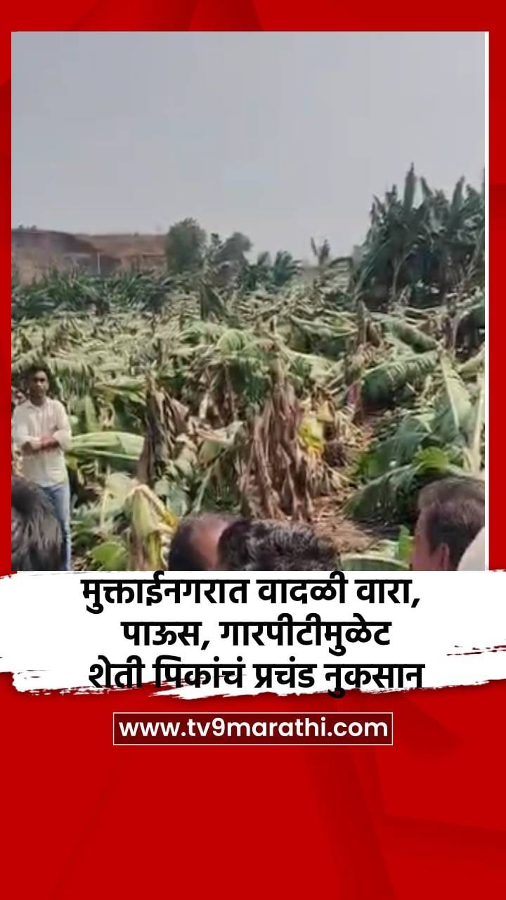 मुक्ताईनगरात वादळी वारा, पाऊस, गारपीटीमुळे शेती पिकांचं प्रचंड नुकसान