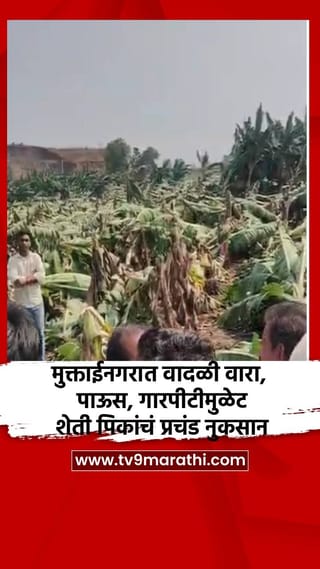 मुक्ताईनगरात वादळी वारा, पाऊस, गारपीटीमुळे शेती पिकांचं प्रचंड नुकसान