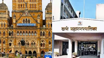 कुठे ओबीसी, तर कुठे ST; तुमच्या शहरातील महापौरपद कोणासाठी राखीव? पाहा संपूर्ण यादी