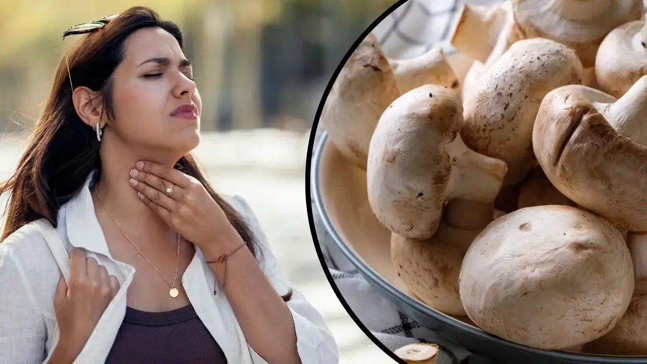 मशरूम कोणी खाऊ नये? नाहीतर होतील गंभीर आजार......