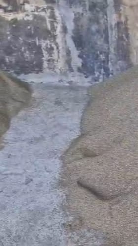 नंदुरबार बाजार समितीत आजावांची आवक, दर किती?.