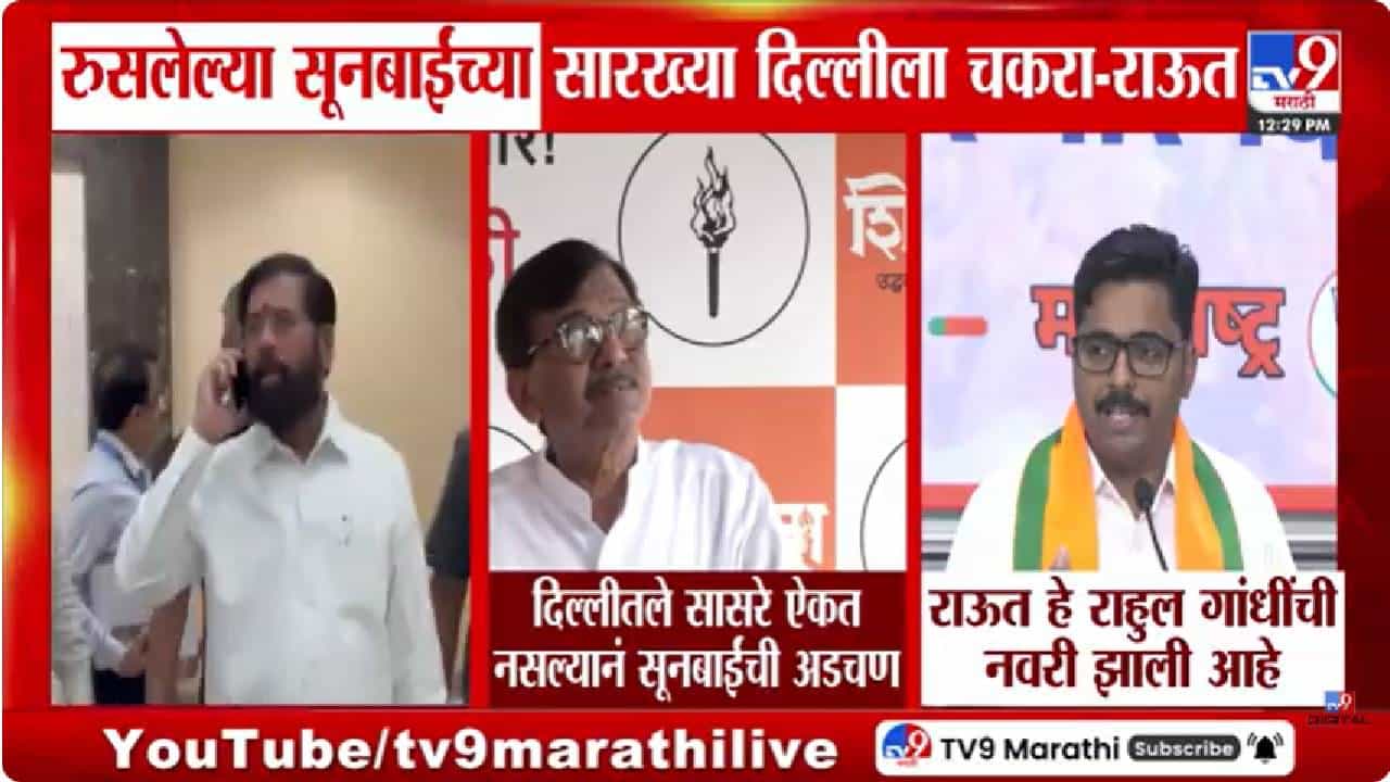 BJP | ते तर 12 जणांची प्रेयसी; भाजपने राऊतांना डिवचलं