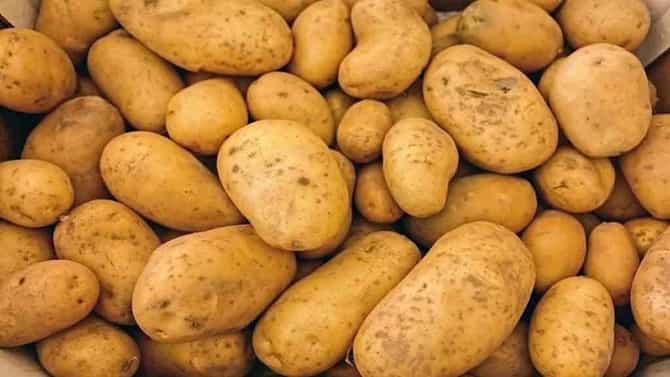 बटाट्यामुळे मधुमेहाचा धोका वाढतो का? जाणून घ्या