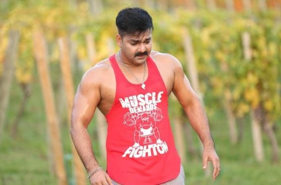 महिमा भोजपुरी सिनेमामधील एक प्रसिद्ध चेहरा आहे. ती उत्तर प्रदेशमधील बांदा जिल्ह्यातील आहे. तिचे आतापर्यंत अनेक म्युझिक व्हिडीओ आलेले आहेत. भोजपुरी सिनेमातही ती आता आपले स्थान बळकट करत आहे.