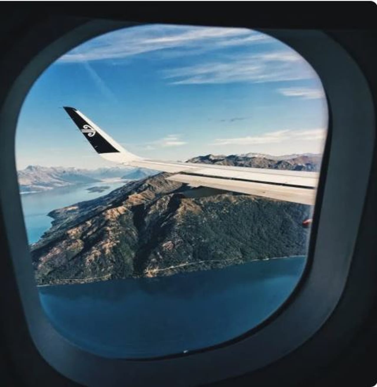 प्रत्येकालाच विमानातून प्रवास करावा वाटतो. विमानातून प्रवास करताना फार काळजी घ्यावी लागते. प्रवासादरम्यान एखादी चूक झाल्यास ती फार महागात पडू शकते. एका चुकीमुळे सगळ्या प्रवाशांचा मृत्यू होऊ शकतो. 