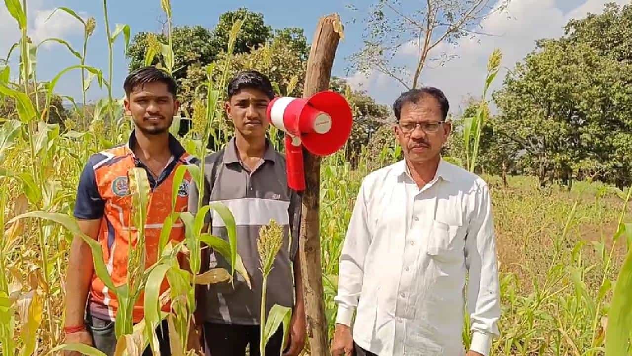 रात्रीअपरात्री शेतातून येतो कुत्र्यांचा आणि माणसाचा आवाज... शेतकऱ्यांची शक्कल, यंत्रातून दहशत निर्माण