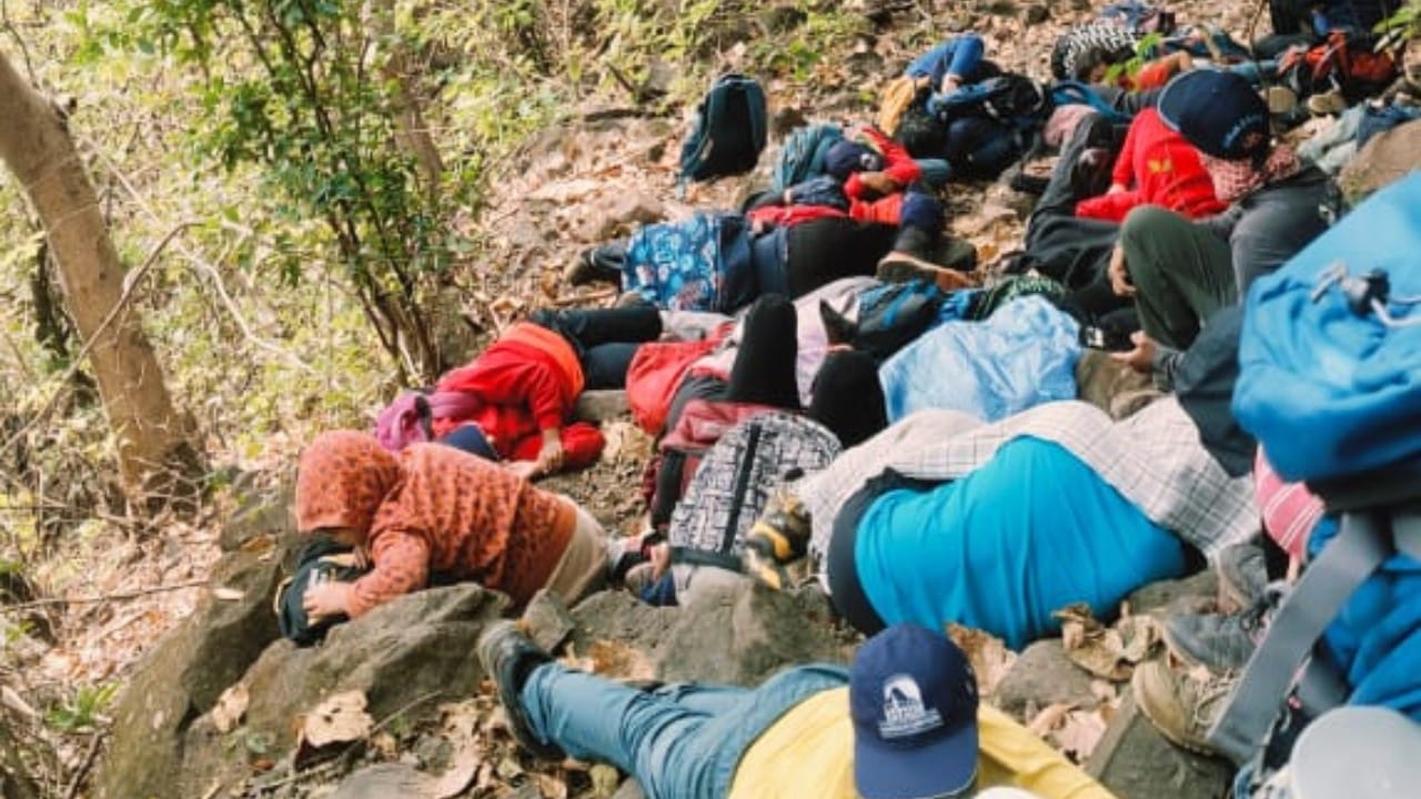 मधमाशांनी विद्यार्थ्यांच्या चेहऱ्यावर, डोळ्यांवर आणि हातापायांवर अनेक दंश केले. १० हून अधिक विद्यार्थी गंभीर जखमी झाले असून त्यांच्या अंगावर मधमाशांचे असंख्य दंश पाहायला मिळत आहेत. तर २५ जणांना किरकोळ जखमा झाल्या आहेत.