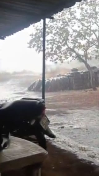 नाशिक जिल्ह्यात अवकाळी पावसाची हजेरी