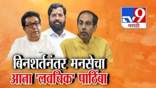 शिंदेंना राज ठाकरेंचा लवचिक पाठिंबा, राजकीय वर्तुळात चर्चा