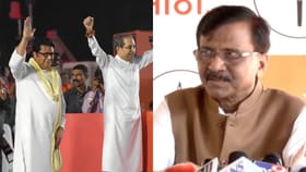 ठाकरेंना सतराशे साठ सभा घेण्याची गरज नाही, फक्त एकच... संजय राऊत.