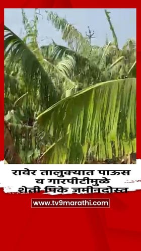 रावेर तालुक्यात पाऊस व गारपीटीमुळे शेती पिके जमीनदोस्त.