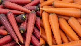 लाल की केशरी? कोणत्या रंगाचा गाजर शरीरासाठी फायदेशीर?.