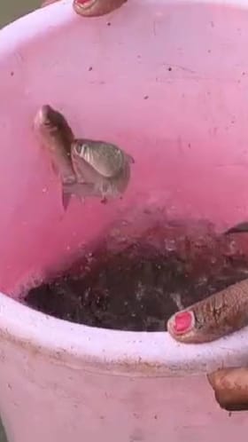 जिल्ह्यातील मच्छीमारांना मिळणार हक्काचा रोजगार...