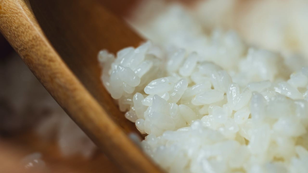 आपल्याकडे अनेक घरांमध्ये रात्रीचा भात उरला की तो सकाळी फोडणी देऊन खाल्ला जातो. पण, शिळा भात खाणे आरोग्यासाठी खरंच सुरक्षित असतो का?  अशी शंका अनेकांच्या मनात येते.