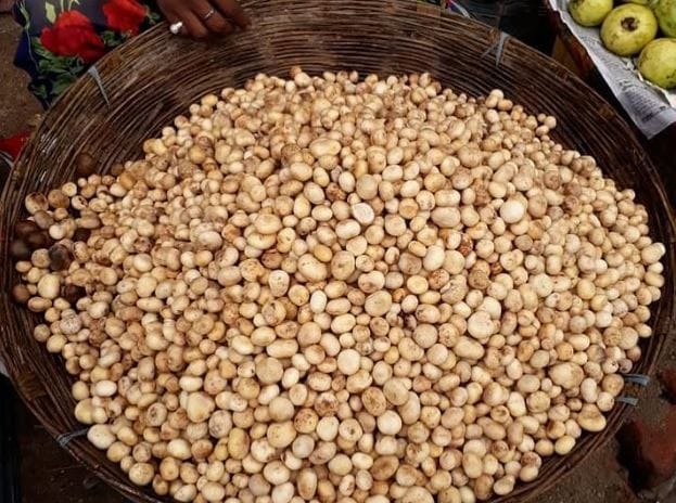 मटण किंवा चिकनचं नाव जरी काढलं तरी काही लोक नाक मुरडतात. काही लोक मांसाहार न करण्याचे पथ्य खूप कटाक्षाने पाळतात. परंतु आता एका खास पदार्थाची चर्चा होत आहे. हा पदार्थ मटणाप्रमाणे नसला तरीही त्याला शाकाहारी मटण म्हणून फारच प्रसिद्धी मिळत आहे. 