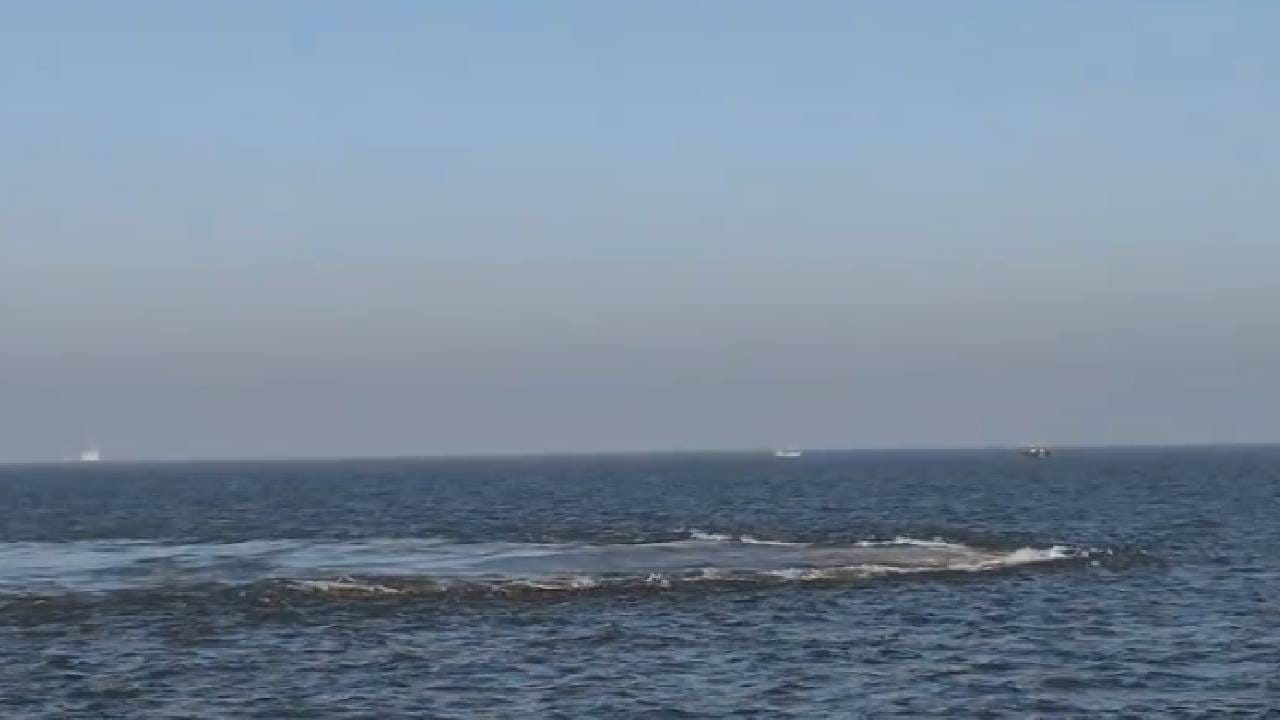 वसईच्या समुद्र किनाऱ्यापासून 66 नॉटिकल अंतरावर मागील 10 दिवसांपासून समुद्रात गोल रिंगण तयार झाले असल्याचे दिसून आले आहे. गेल्या 10 दिवसांपासून समुद्रात हे रिंगण दिसत असल्याने एकच खळबळ उडाली आहे. रिंगण का दिसत आहे? त्यामुळे काय होणार? याची भीती या मच्छिमारांमध्ये निर्माण झाली आहे. यापूर्वी समुद्रात कधीच असं घडलं नव्हतं. मग आता हे कसले संकेत आहेत? असा प्रश्न या मच्छिमारांना पडला आहे. 