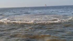 वसईच्या समुद्रात भलतंच घडलं... बोटी घेऊन जाण्यासा मच्छिमार बिथरले.