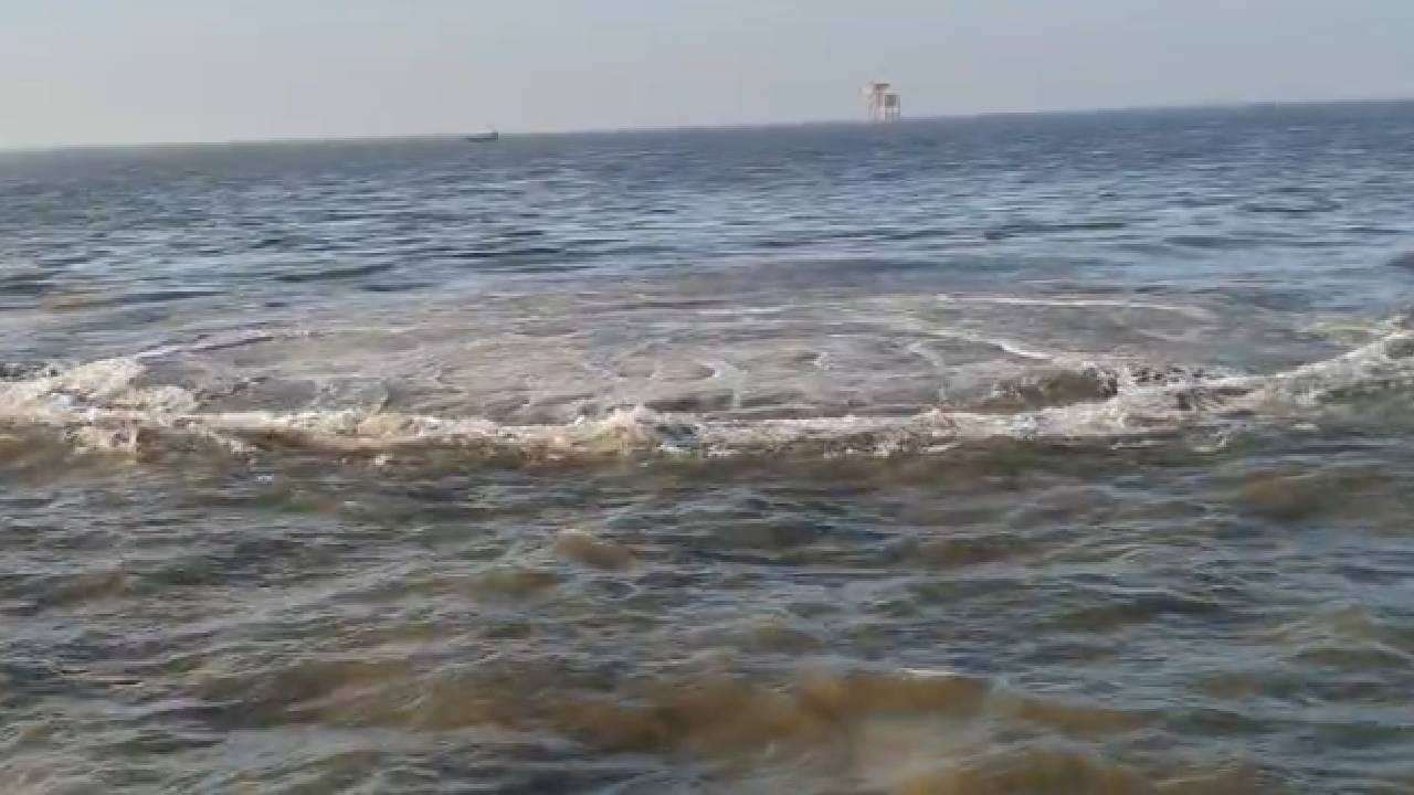 पालघर जिल्हा हा भूकंपप्रवण क्षेत्र आहे. या जिल्ह्यात दरवर्षी 200 हून अधिक सौम्य भूकंप होतात. त्यामुळे हे अंदाज वर्तवले जात आहेत. मोठी आपत्ती येण्यापूर्वीच आपत्ती विभागाने या घटनेची तपासणी करावी, अशी मागणी समुद्र जीवरक्षक जनार्दन मेहेर यांनी केली आहे.