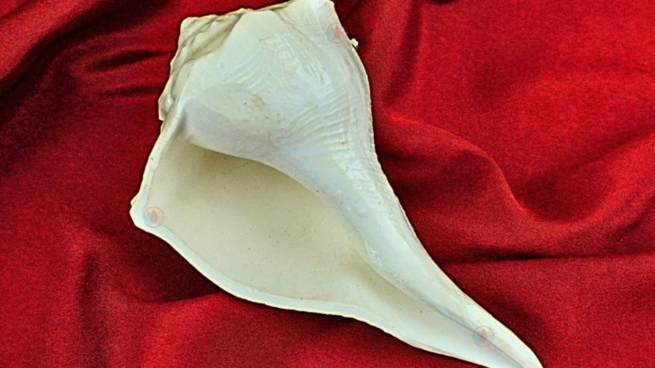 ( डिस्क्लेमर : वरील माहिती उपलब्ध स्रोतावरून देण्यात आलेली आहे. याच्या तथ्यांबद्दल आम्ही कुठलाही दावा करीत नाही, तसेच अंधश्रद्धेला दुजोरा देत नाही)