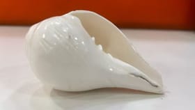 घरात तोडफोड न करता वास्तुदोष कसा दूर करायचा? एक बदल अन् लगेच रिझल्ट.