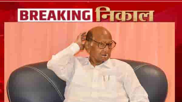Maharashtra Election Results 2026 : शरद पवारांच्या राष्ट्रवादीला मोठा धक्का, ‘या’ महापालिकेत भोपळाही फोडला नाही