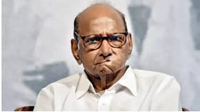 महापालिका निवडणुकीत शरद पवारांसाठी सर्वात धक्कादायक निकाल समोर!.