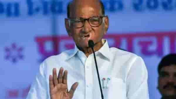 मोठी बातमी! आता दोन्ही राष्ट्रवादीच्या विलिनीकरणाचा निर्णय शरद पवार नाही तर घेणार ही व्यक्ती, नेमकं काय ठरलं?