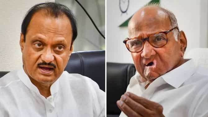 Municipal Election Results 2026 : घड्याळाचे काटे उलटे फिरले, तुतारीचा आवाज बंद, राज्यात राष्ट्रवादीला मोठा दणका