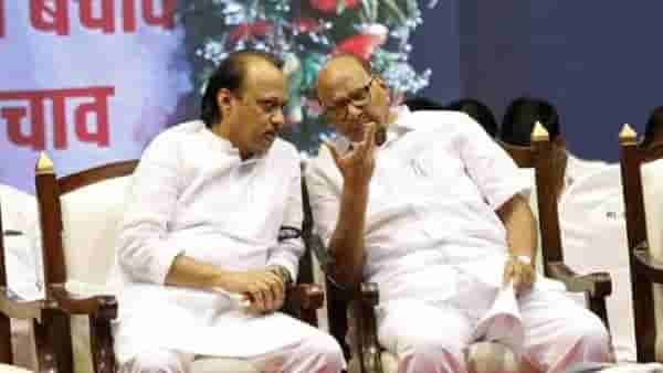 BIG BREAKING: अखेर दोन्ही राष्ट्रवादीचं विलीनीकरण होणार, कधी? शरद पवार गटाच्या आमदाराचाच मोठा खुलासा