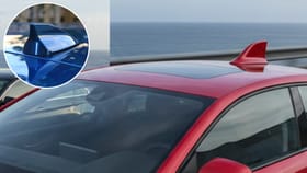 कारच्या छतावर शार्क माशासारखा आकार का असतो? फक्त स्टाईल नव्हे तर जीव.